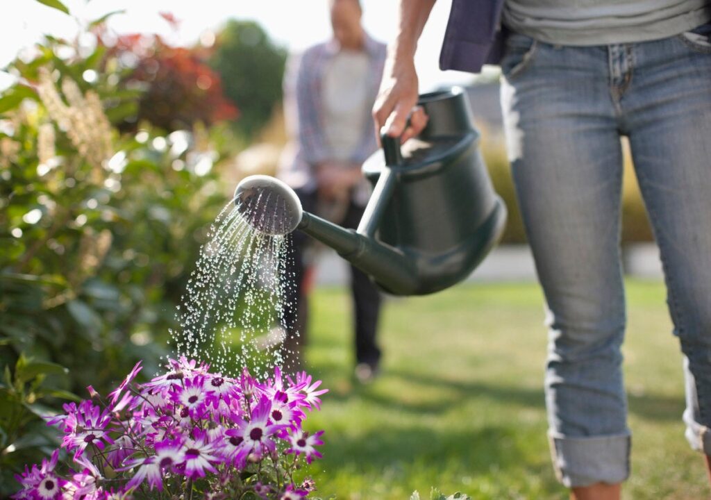 The Importance of Water for Your Garden
